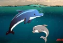 돌고래의 지극한 모성애